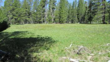 Start of second upper transect, looking north