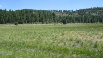 Start of second upper transect
