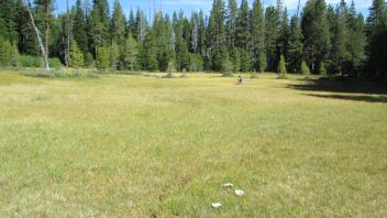 Start of upper transect looking northwest