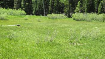 Start of upper transect looking northwest