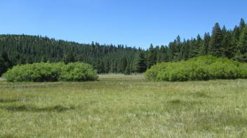 Start of upper transect looking west