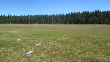 Start of upper transect, looking east