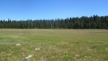 Start of upper transect, looking east