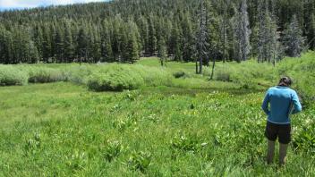 Start of upper transect, looking east