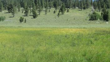 Start of upper transect, looking northeast
