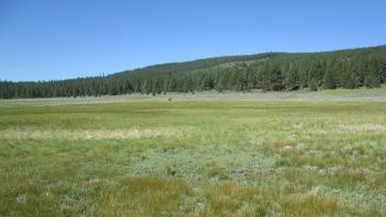 Start of upper transect, looking northwest