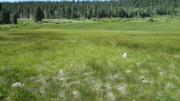 Start of upper transect, looking south