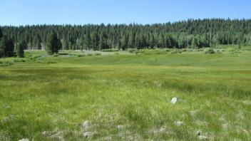 Start of upper transect, looking south
