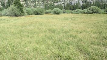 Start of upper transect, looking southeast