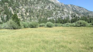 Start of upper transect, looking southeast