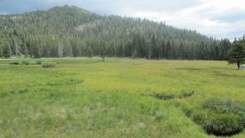 Start of upper transect, looking southwest