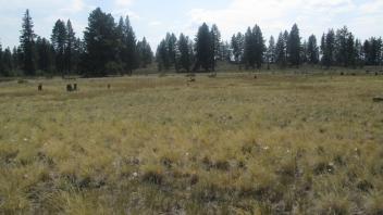 Start of upper transect, looking soutwest