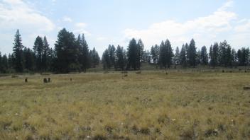 Start of upper transect, looking soutwest