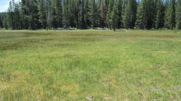 Start of upper transect, looking soutwest