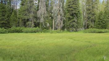Start of upper transect, looking west