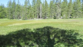 Start of upper transect, looking west