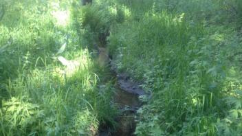 Stream Edge