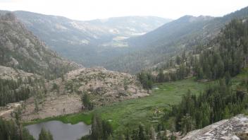 Supposed meadow, from above