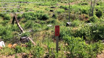 Grizzly Meadow