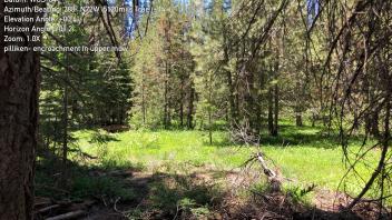 Pilliken Meadow (2024)