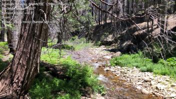 Meiss Creek