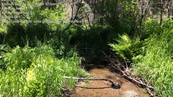 Meiss Creek