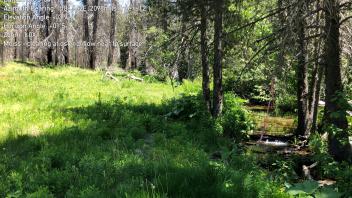 Meiss Creek