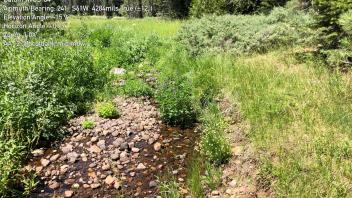 AA Creek