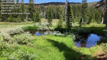 Round Meadow