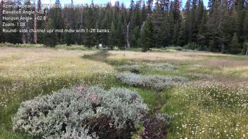 Round Meadow