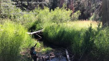 S Trout Creek