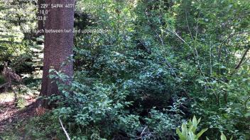S Trout Creek