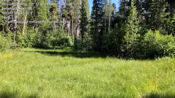 S Trout Creek