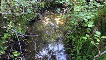S Trout Creek