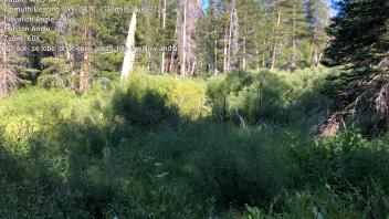 S Trout Creek