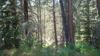 Transect 1 Left to Right Channel (across gully)