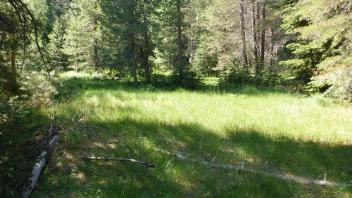 Transect 1 looking upstream