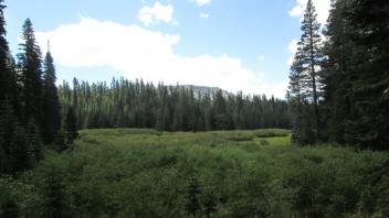Top of Meadow View to Bottom