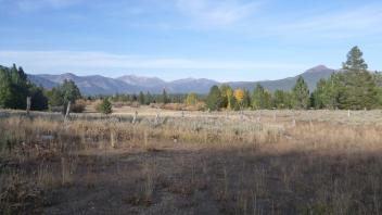 Top of Meadow