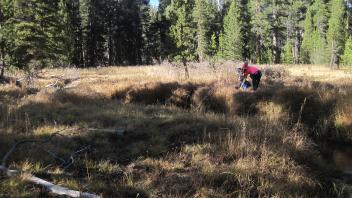 Top of Meadow