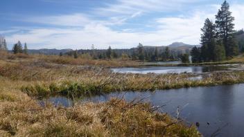 Top of Meadow