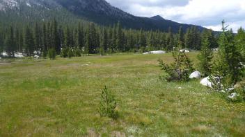 Top of Meadow