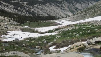 Top of Meadow
