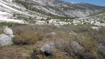 Top of Meadow