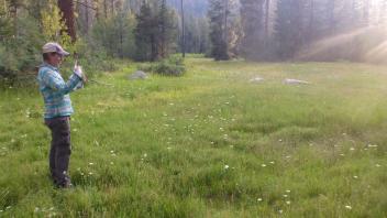 Top of Meadow