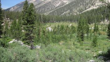 Top of Meadow