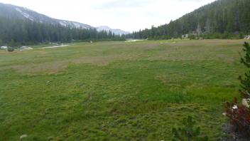 Top of Meadow
