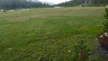 Top of Meadow