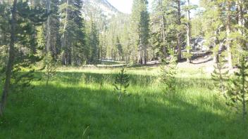 Top of Meadow