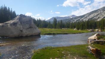 Top of Meadow